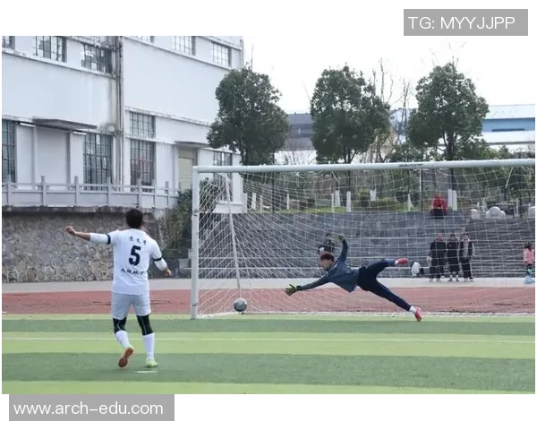 踢足球假肢助力运动员重返赛场的梦想与挑战